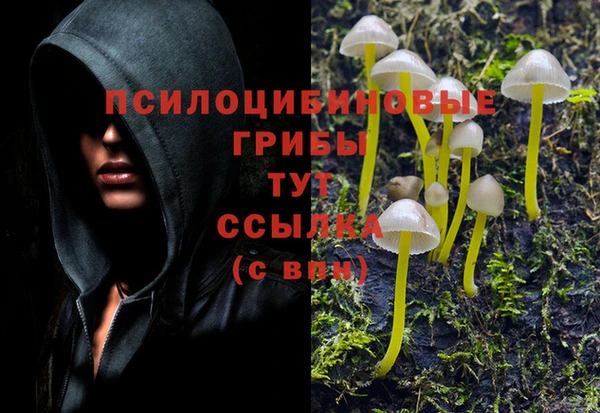 кокс Дмитровск